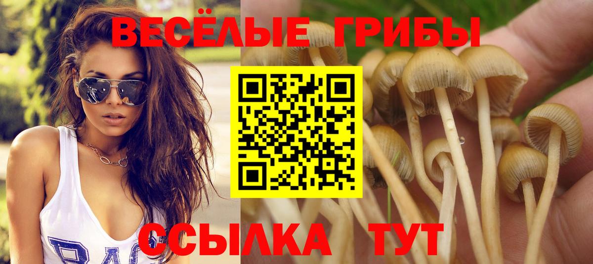Псилоцибиновые грибы ЛСД  купить   Омск  Вход с VPN 